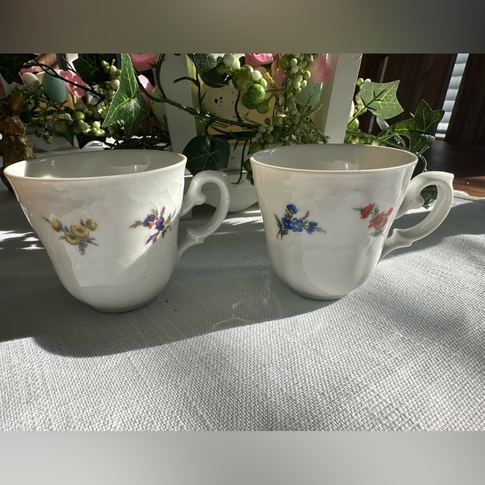 Seltmann Weiden Bavaria Tea Cups Floral
Pattern Tiny Teacups cottagecore